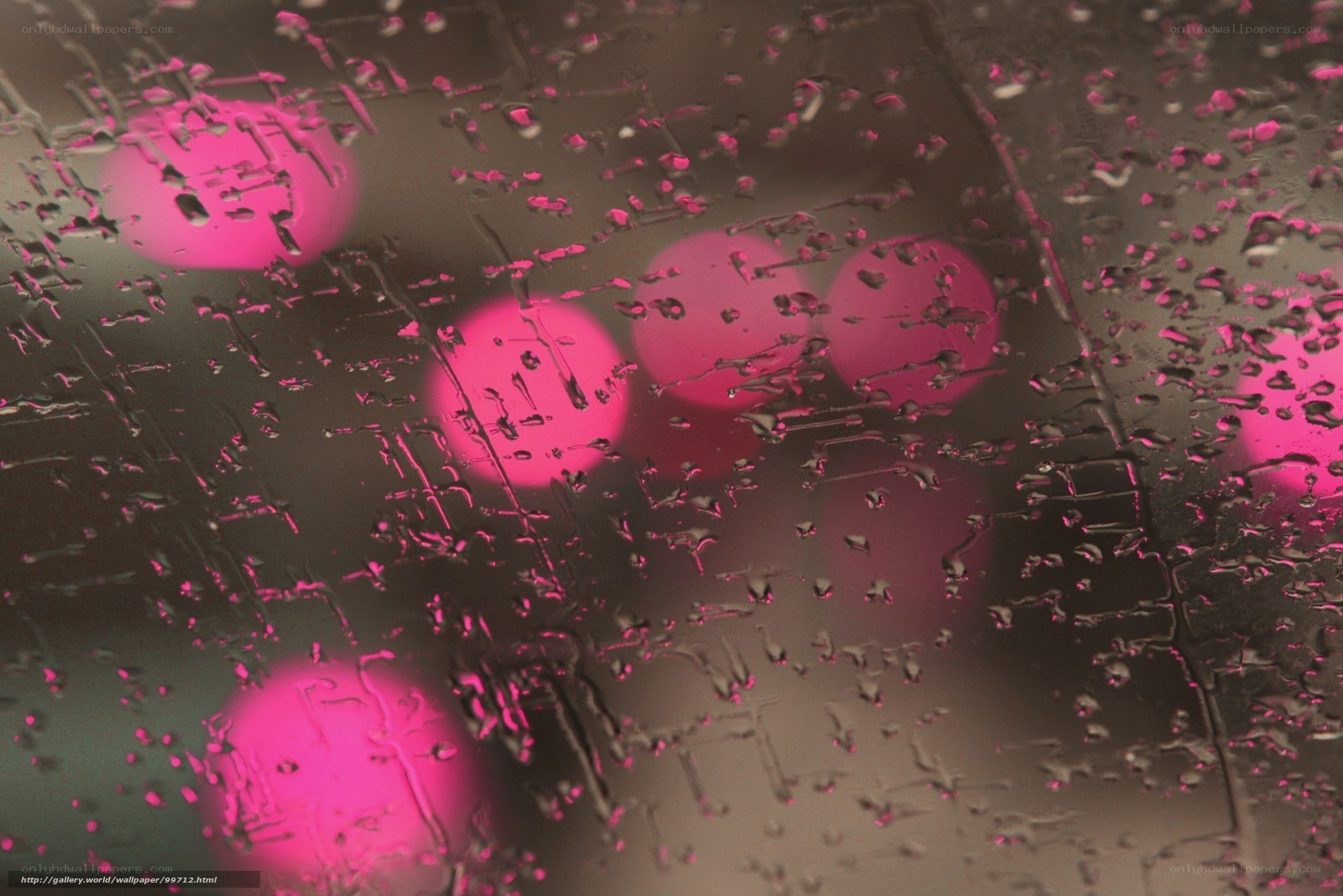 Raindrops on glass with pink lights