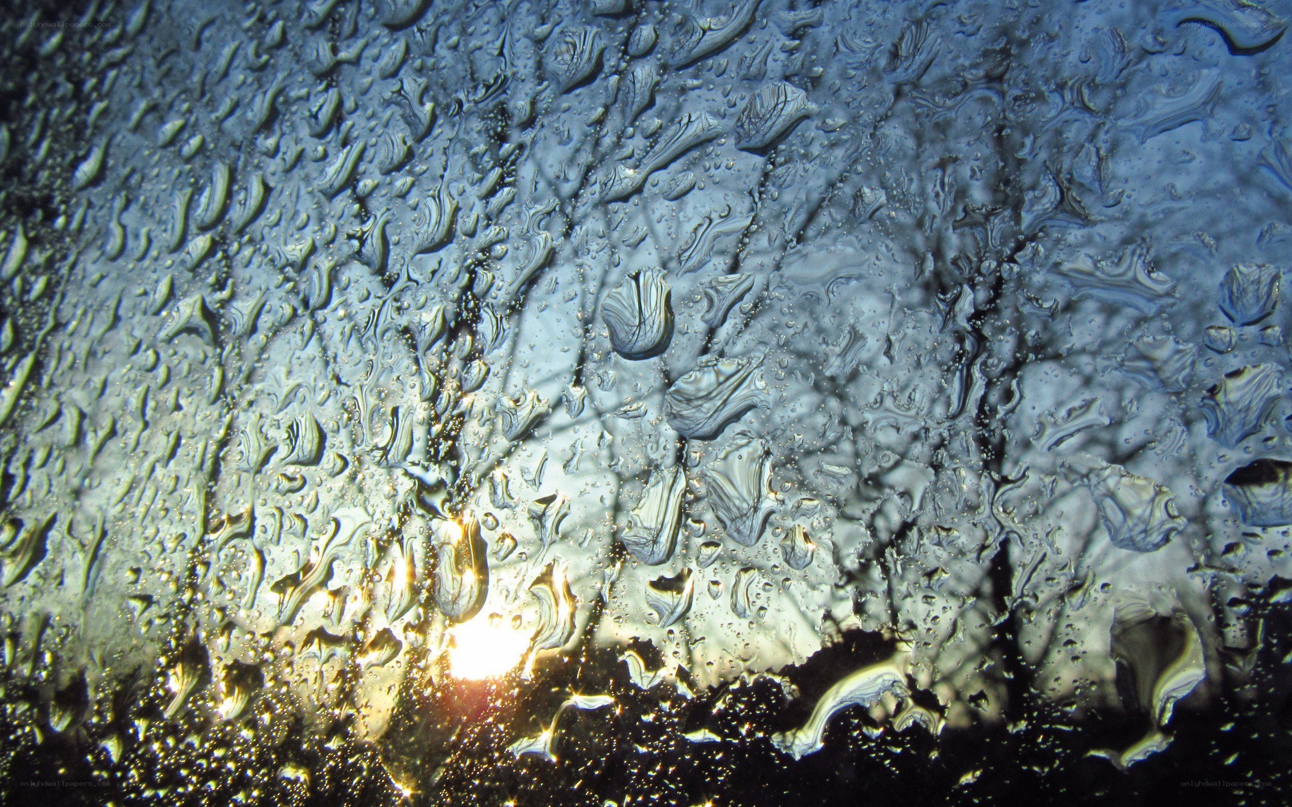 raindrops on glass with sun glare