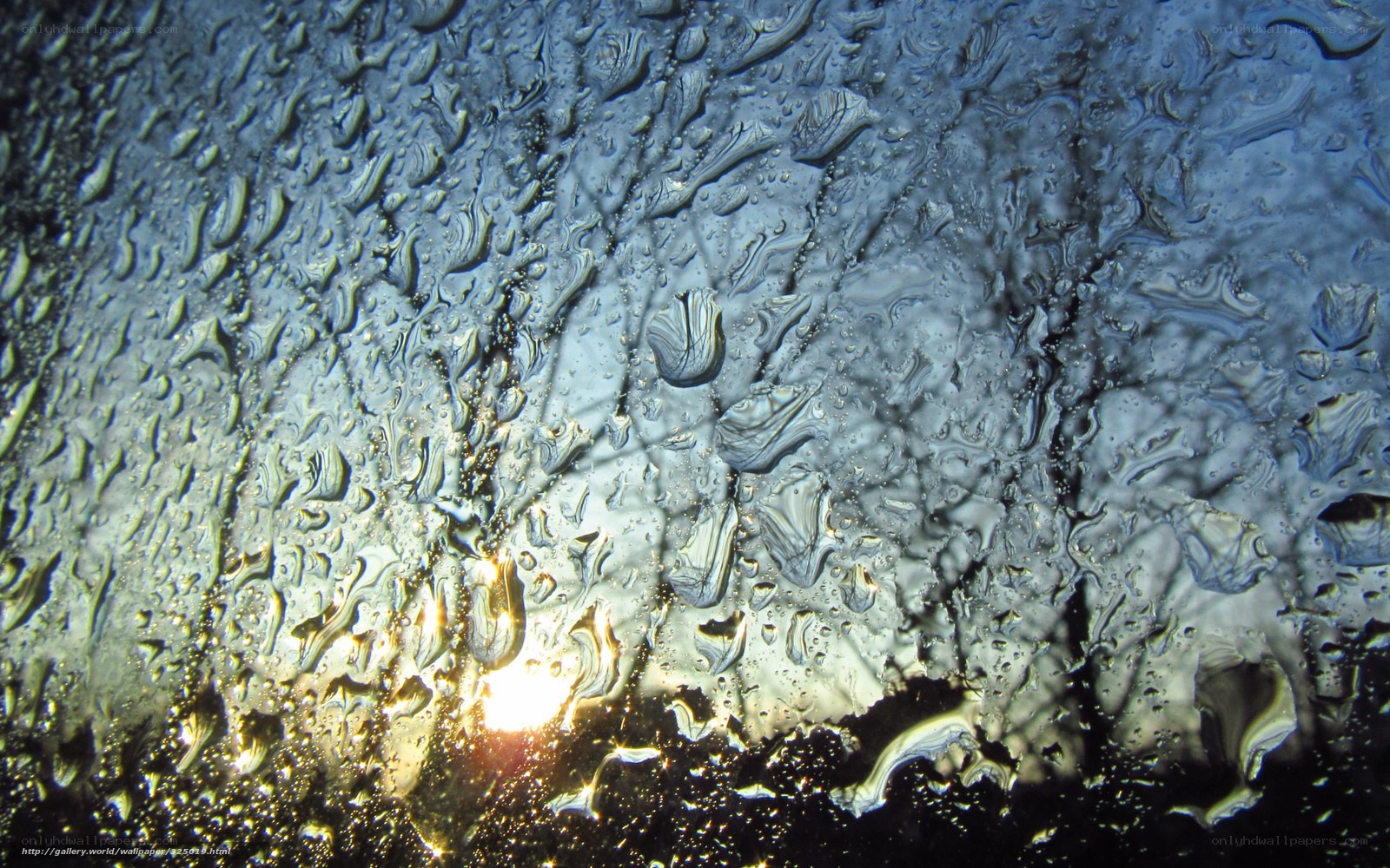 Raindrops on glass with sun glare