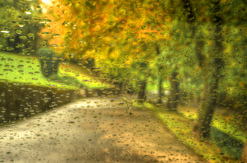 Raindrops on Glass — Yellow, Calm