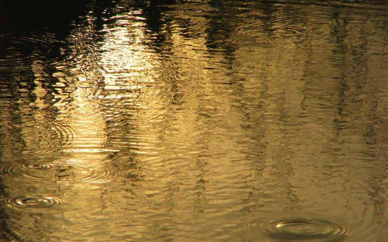 raindrops on golden water