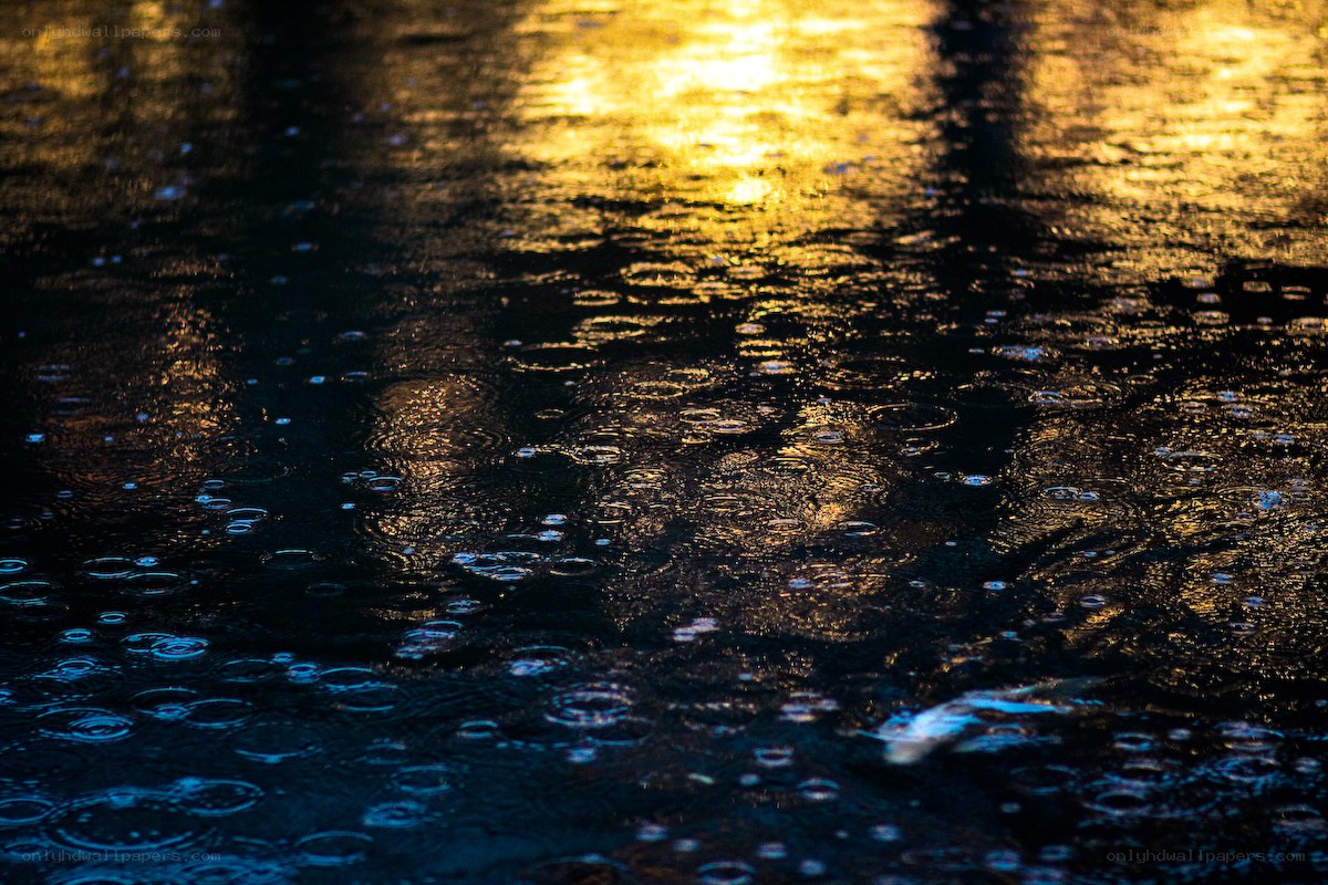 raindrops on golden water