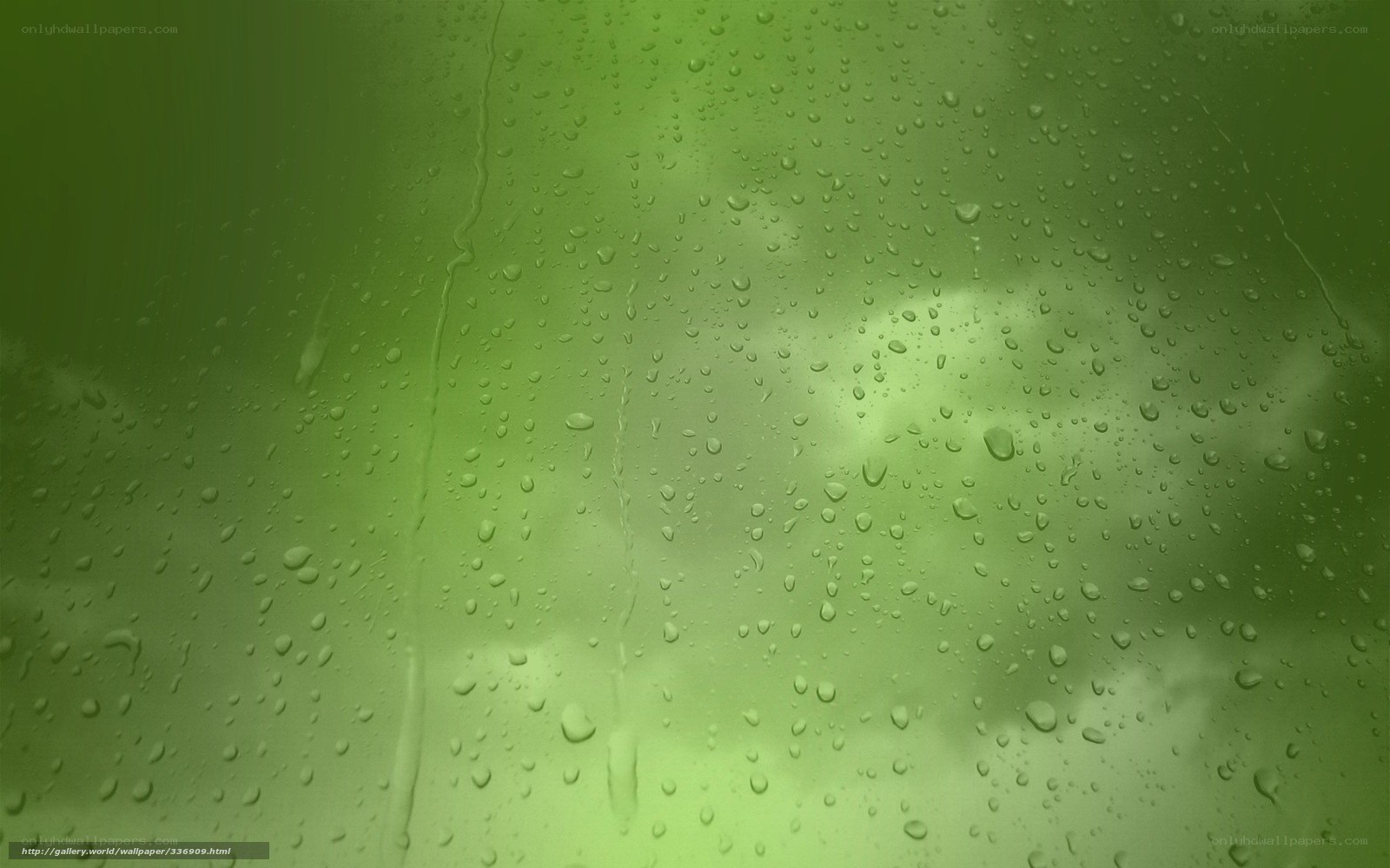 raindrops on green glass