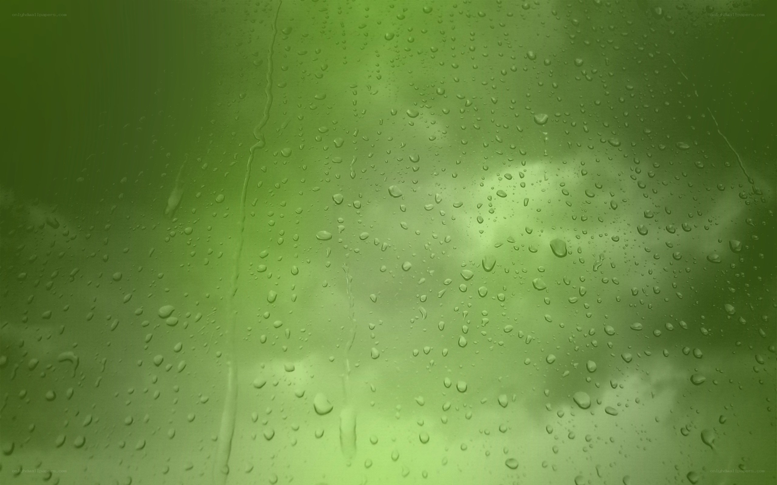 raindrops on green glass