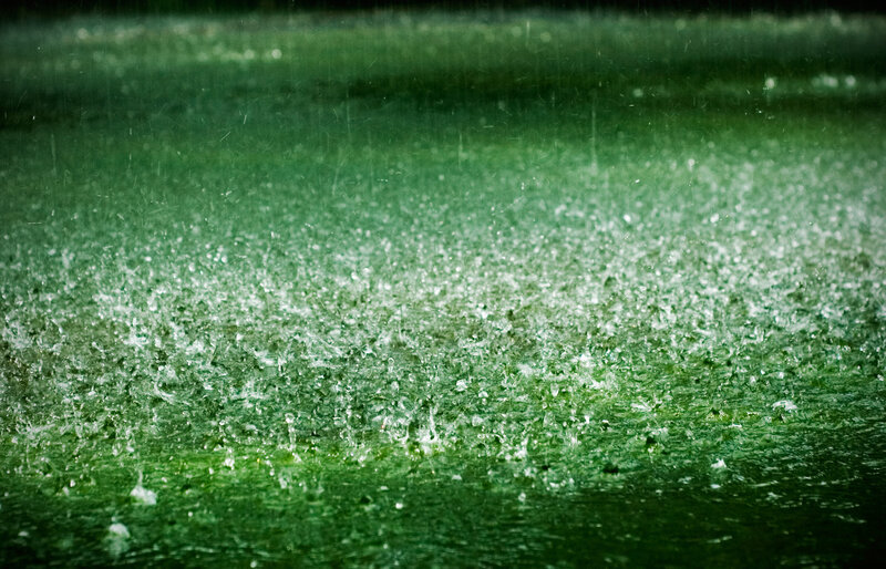 raindrops on green surface