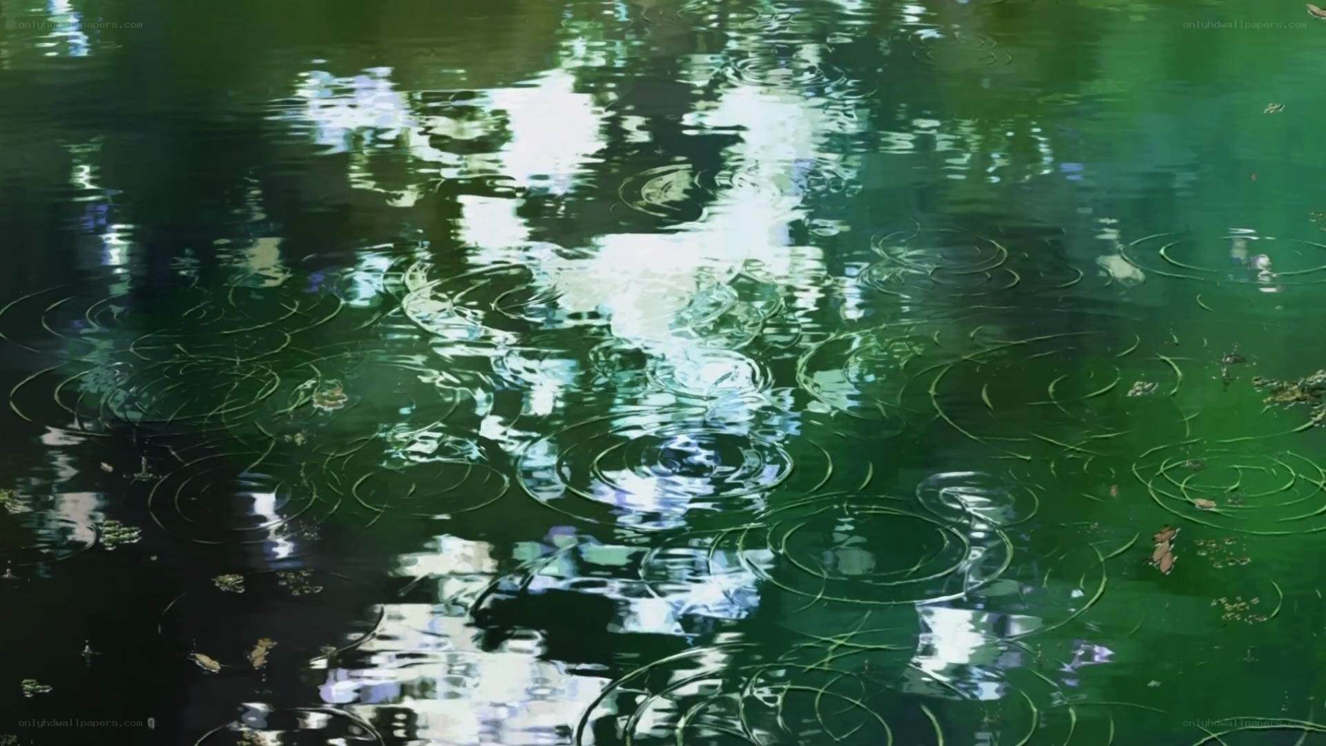 raindrops on green water