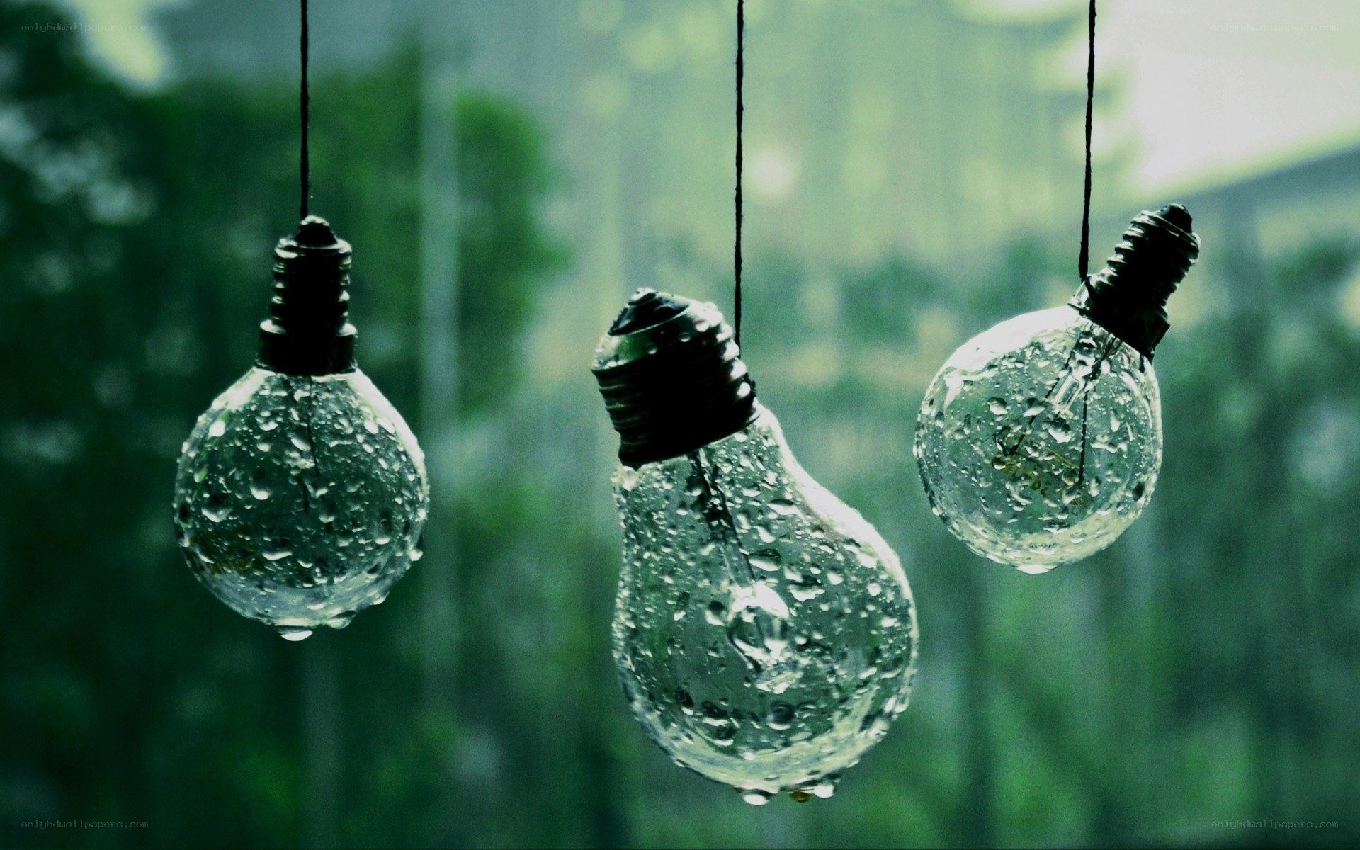 Raindrops on hanging light bulbs