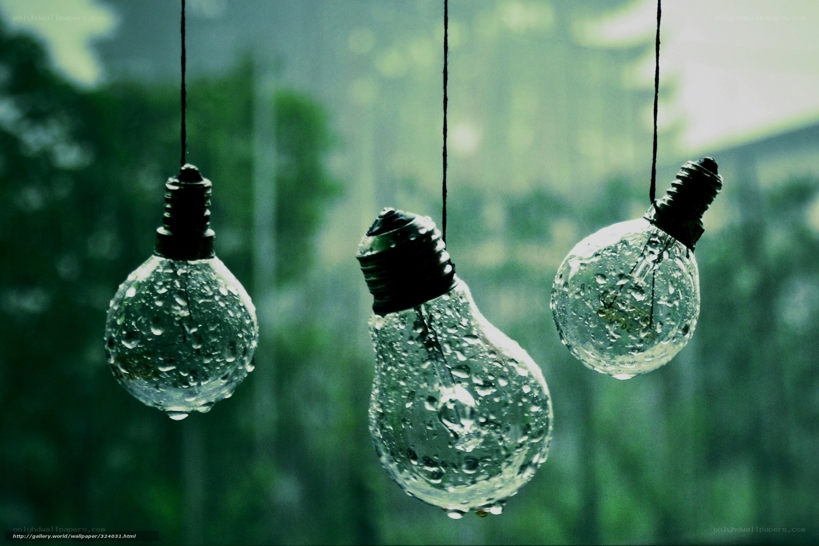Raindrops on hanging light bulbs