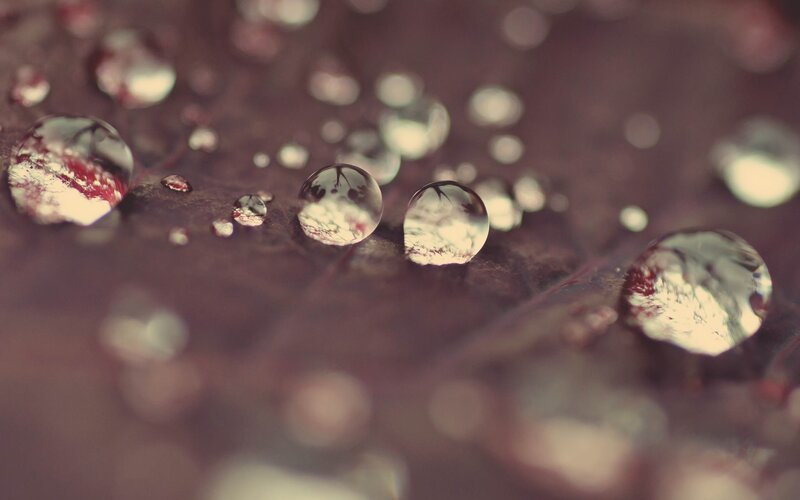 Raindrops on Leaf — Purple, Calm