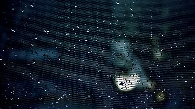Raindrops on Mesh Screen — Black