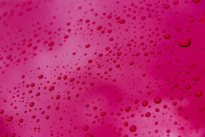 Raindrops on Pink Surface — Calm, Photograph