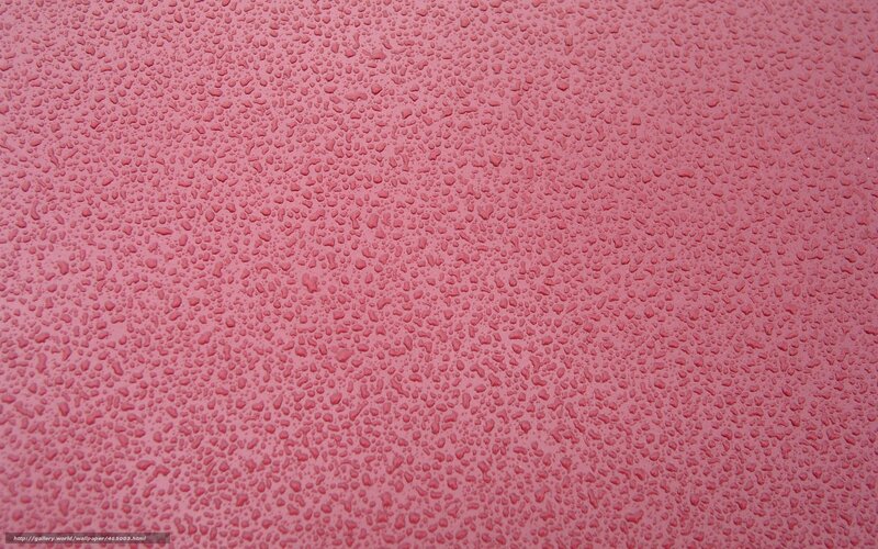 Raindrops on Pink Surface — Calm