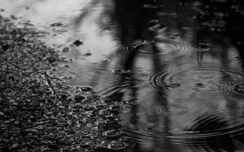 Raindrops on Puddle — Black