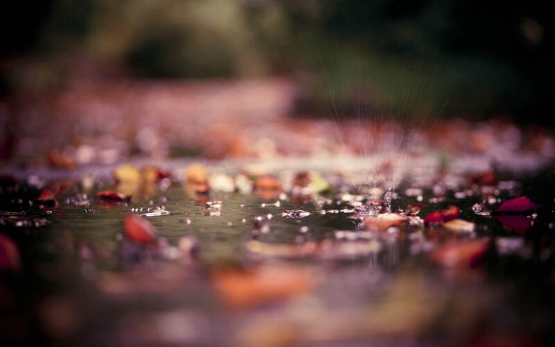 Raindrops on Puddle — Brown, Calm