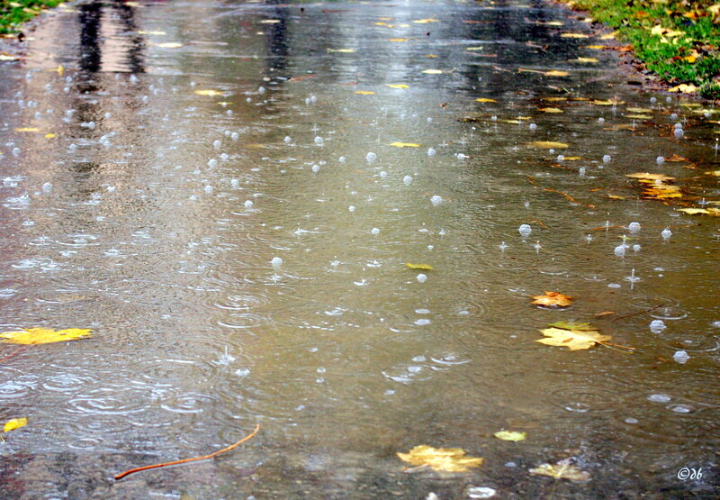 Raindrops on Puddle — Brown