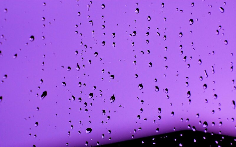 raindrops on purple glass