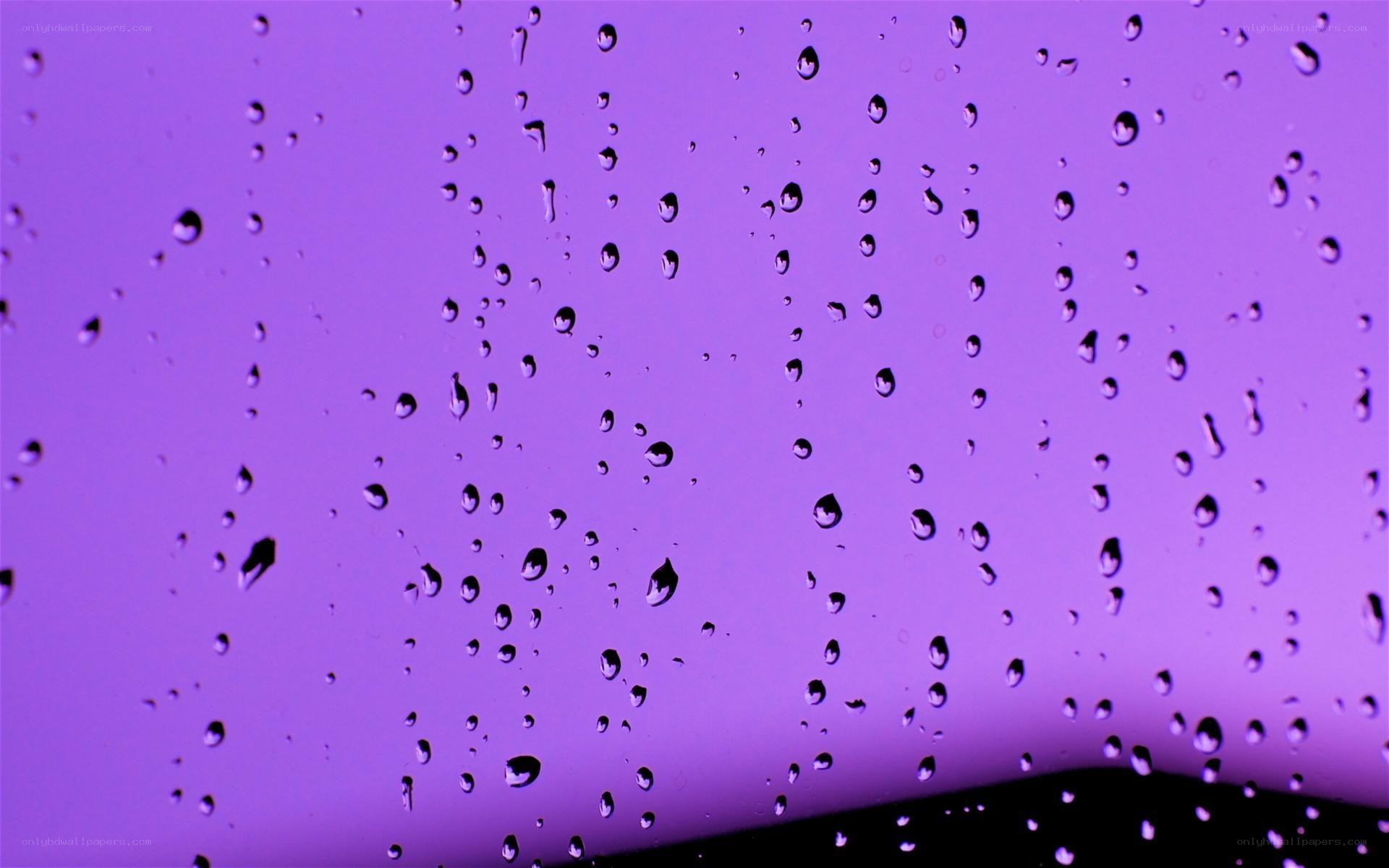 raindrops on purple glass