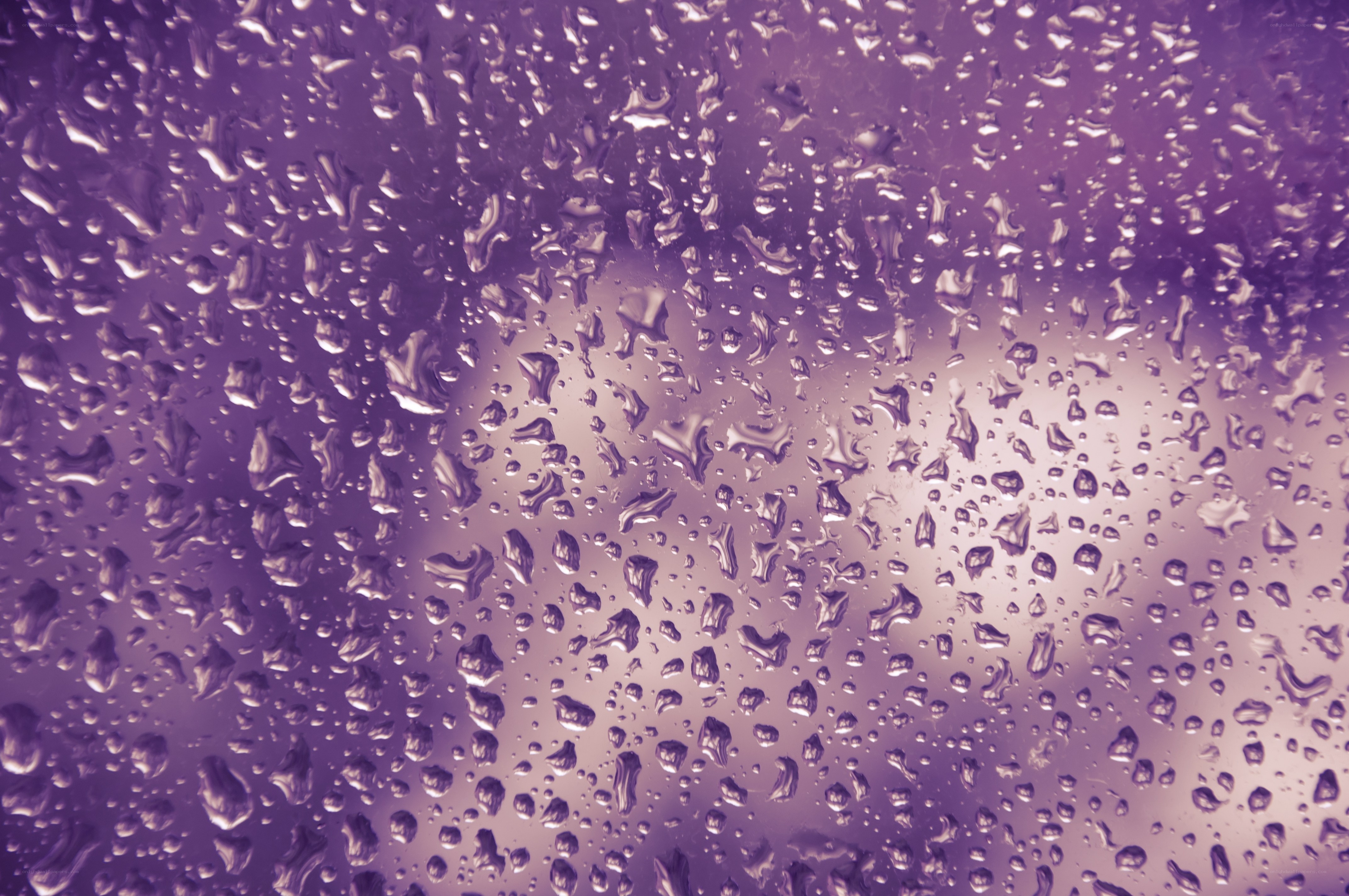 raindrops on purple glass