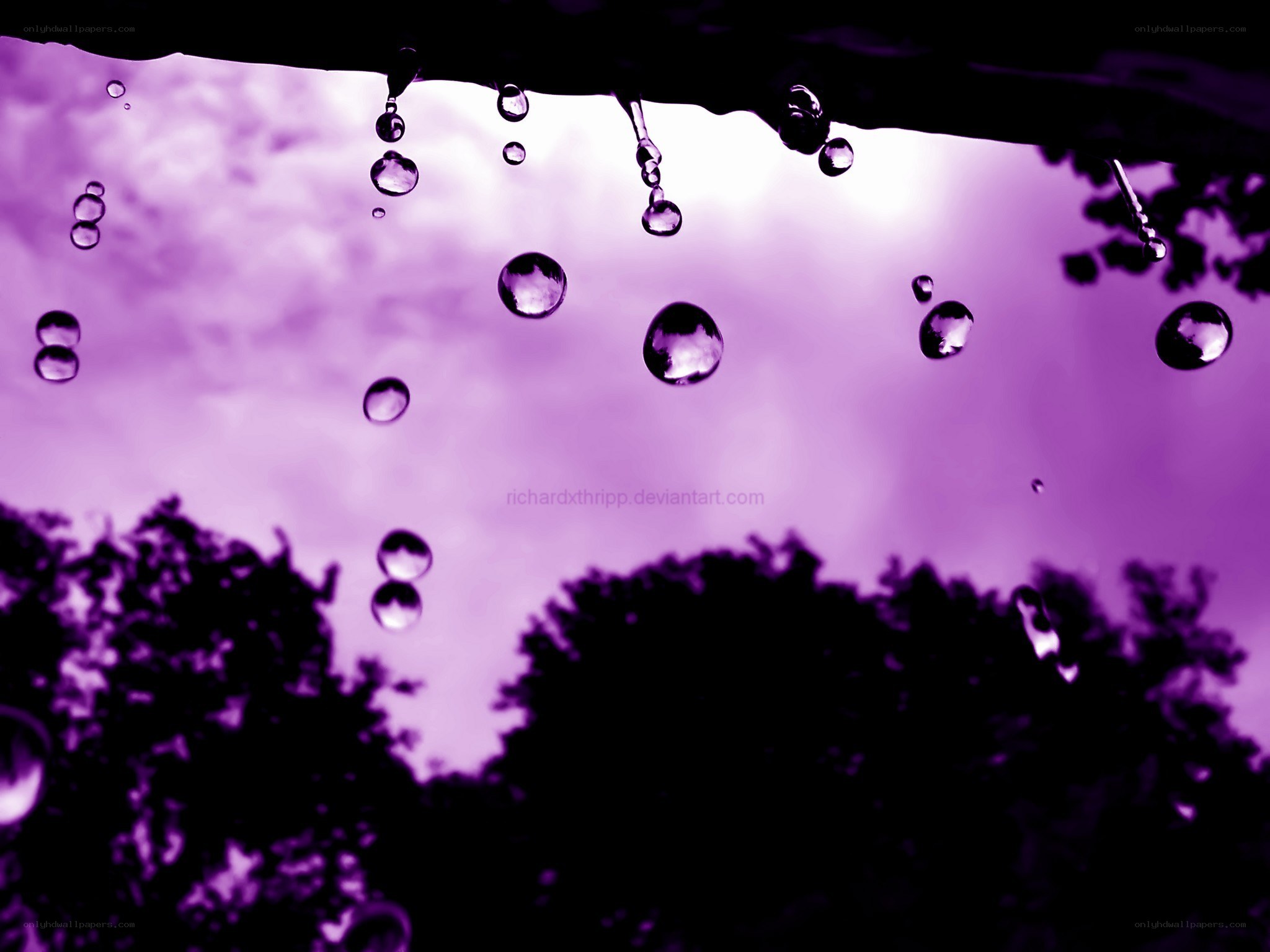 raindrops on purple sky