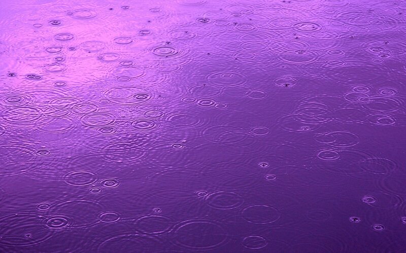 Raindrops on Purple Water — Calm