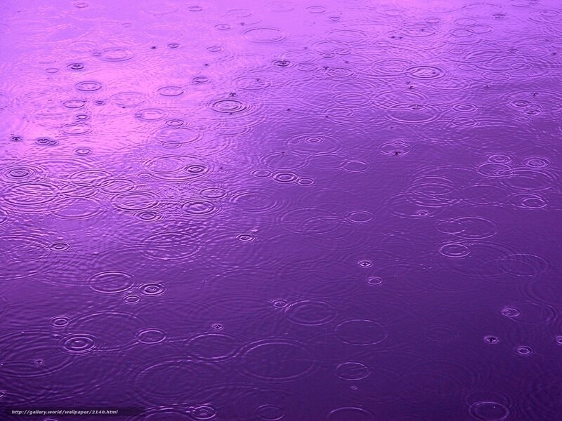 raindrops on purple water