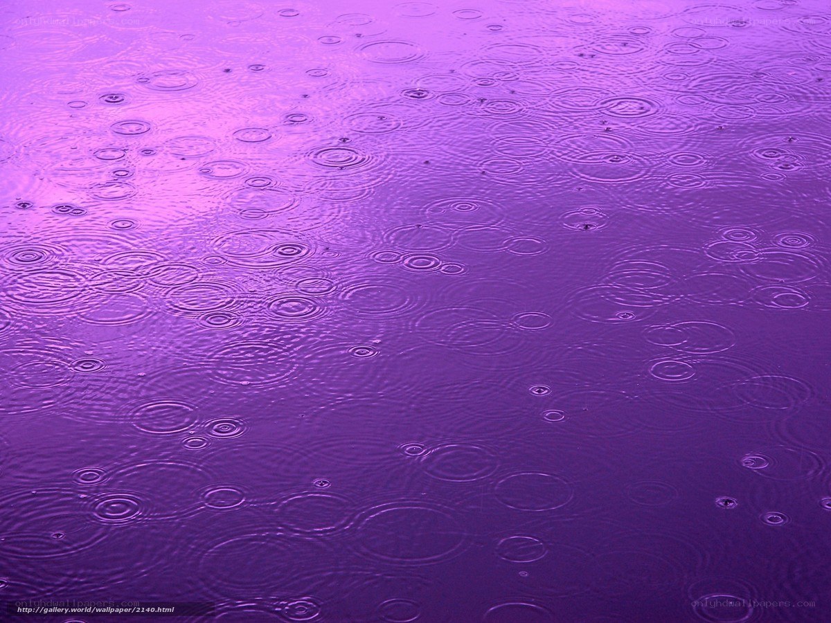 raindrops on purple water