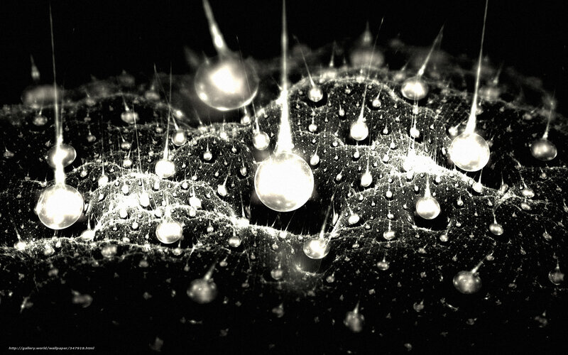 Raindrops on Spiderweb — Black
