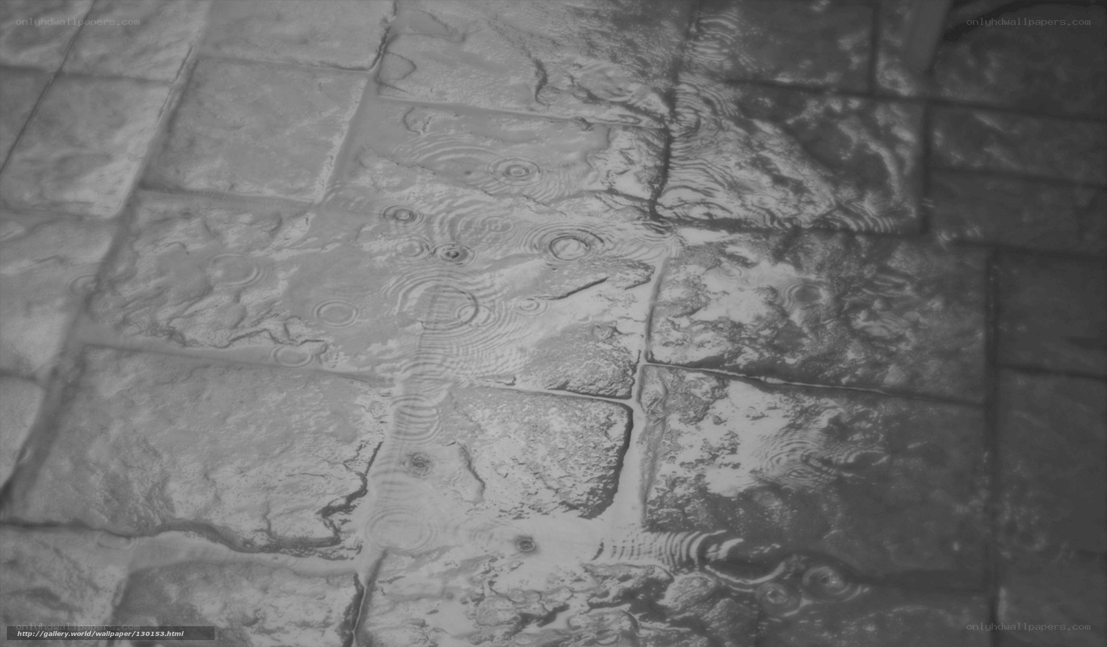 raindrops on stone pavement