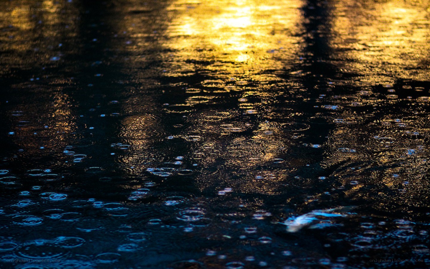 raindrops on water at sunset
