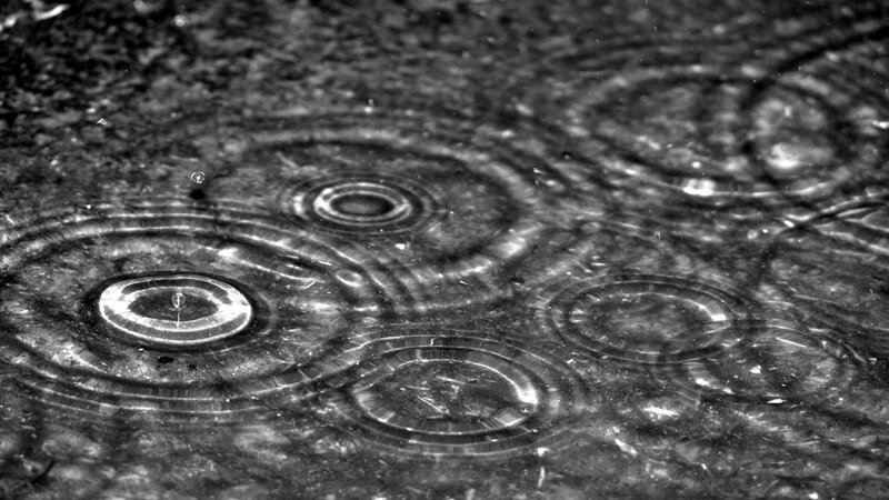 Raindrops on Water — Black, Calm, Photograph, Puddle, Ripples