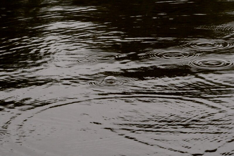 Raindrops on Water — Black, Calm, Photograph, Ripples