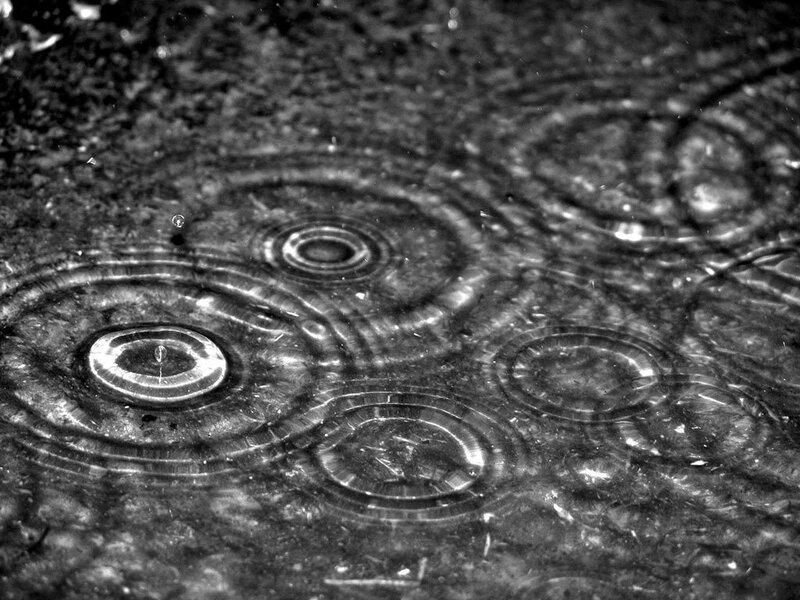 Raindrops on Water — Black, Calm, Photograph