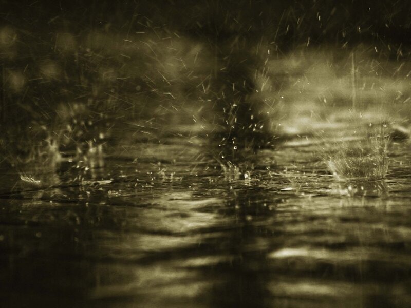Raindrops on Water — Brown