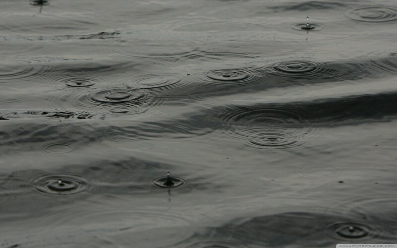 Raindrops on Water — Gray, Calm, Photograph, Ripples, Droplets