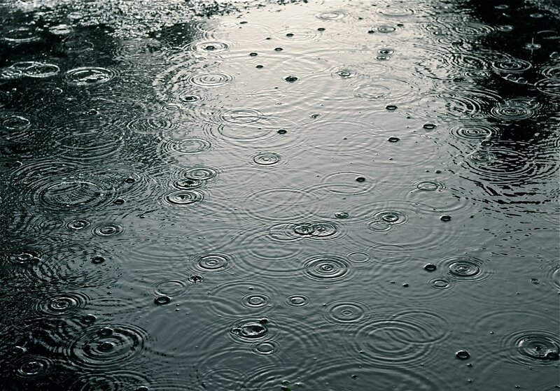 Raindrops on Water — Gray, Calm