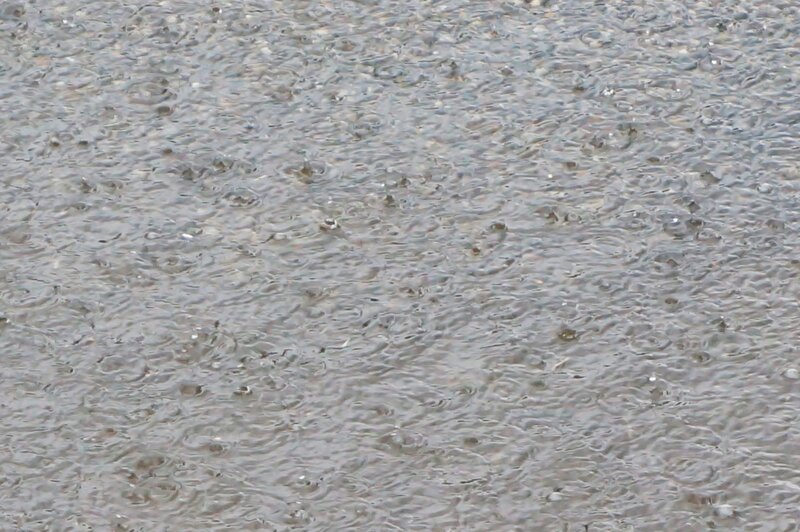 Raindrops on Water — Gray