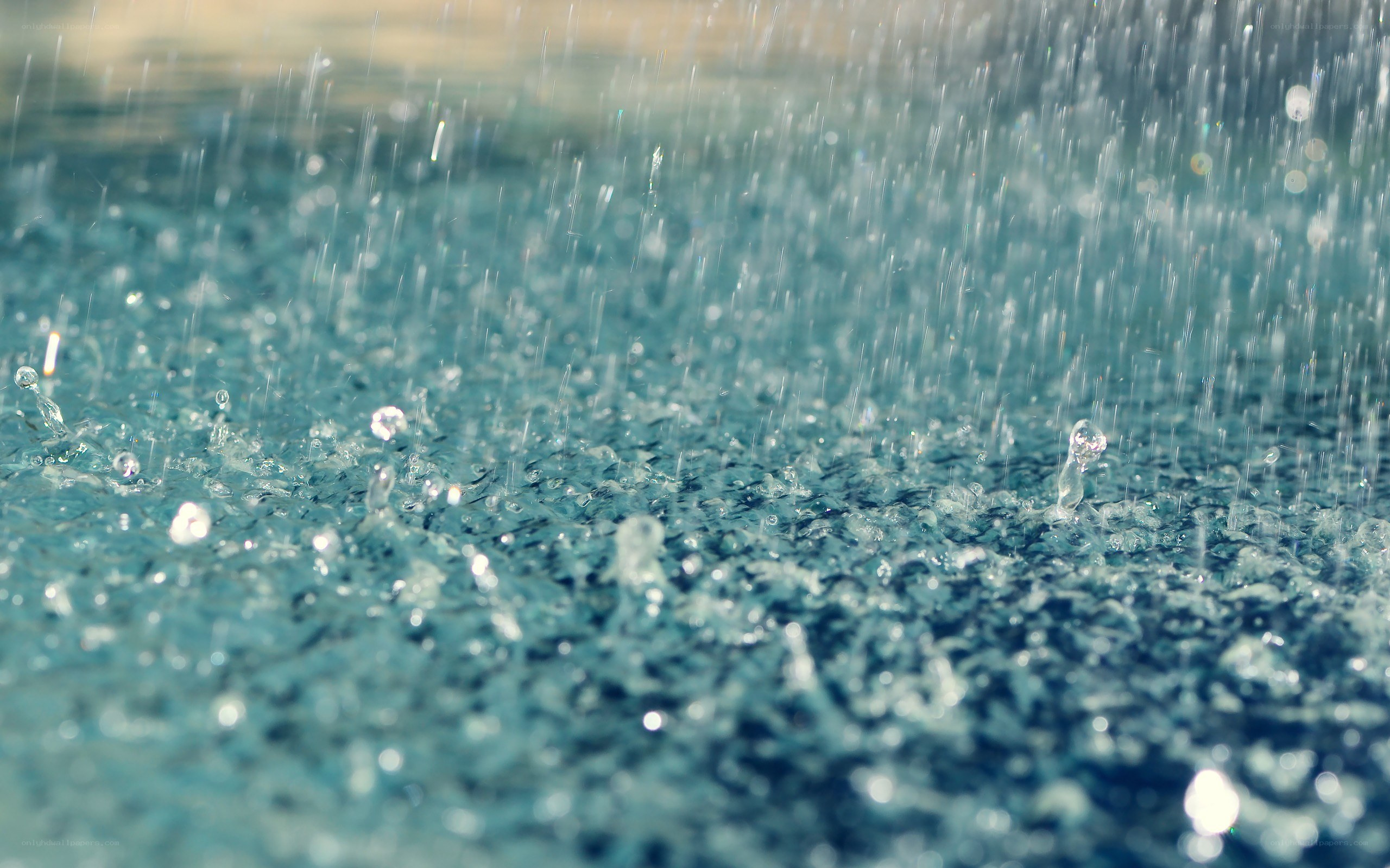 raindrops on water surface