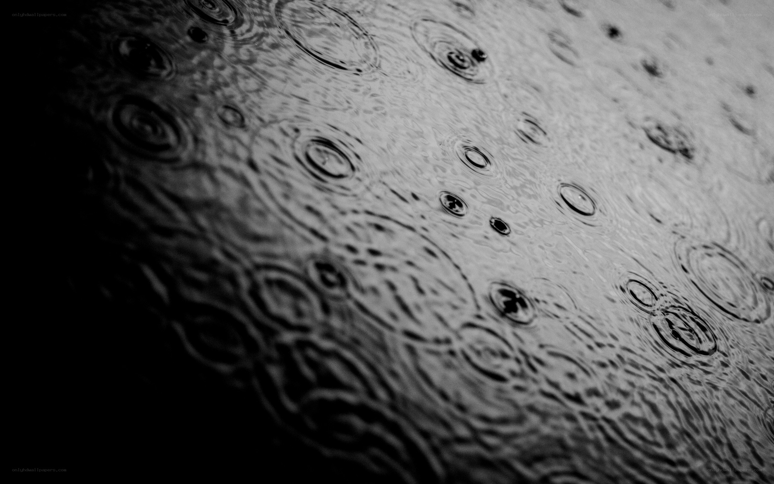 raindrops on water surface