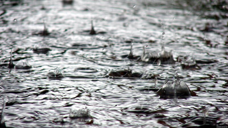 raindrops on water surface