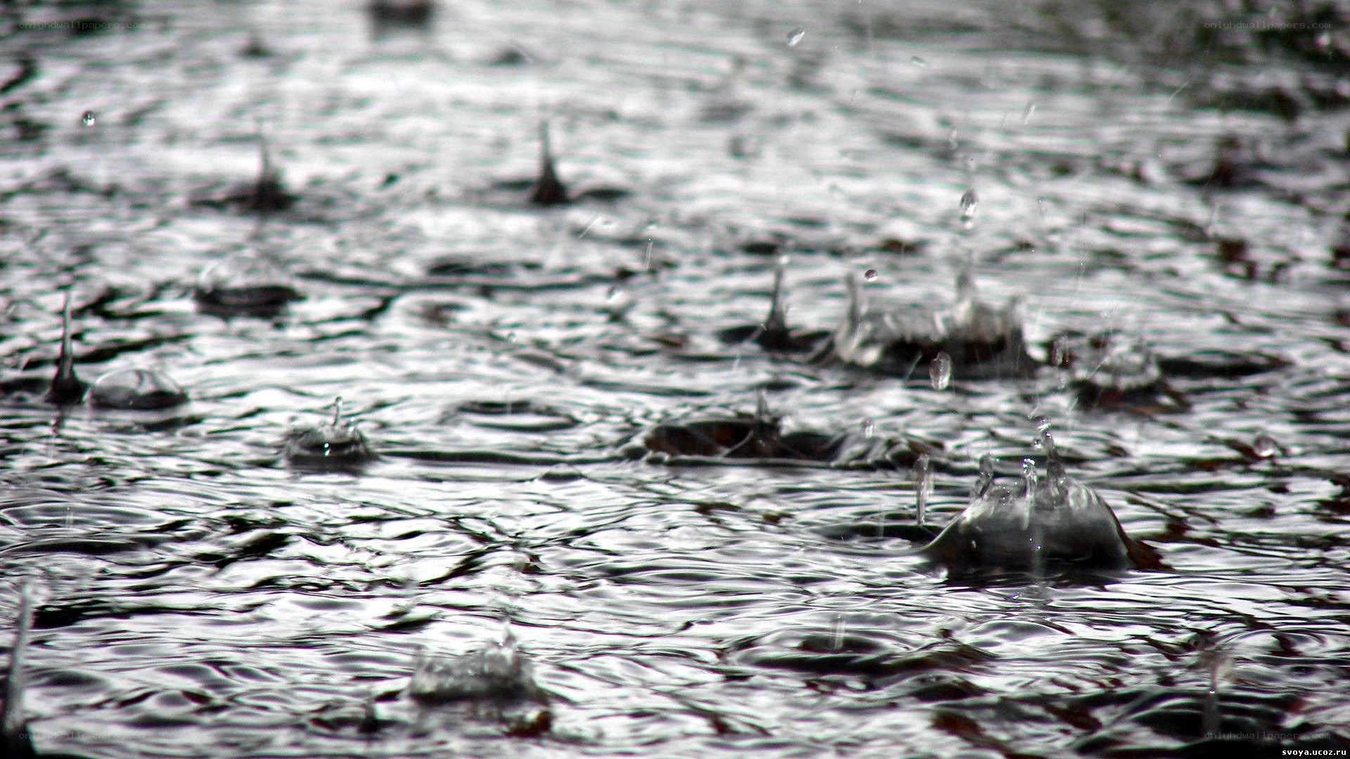 raindrops on water surface