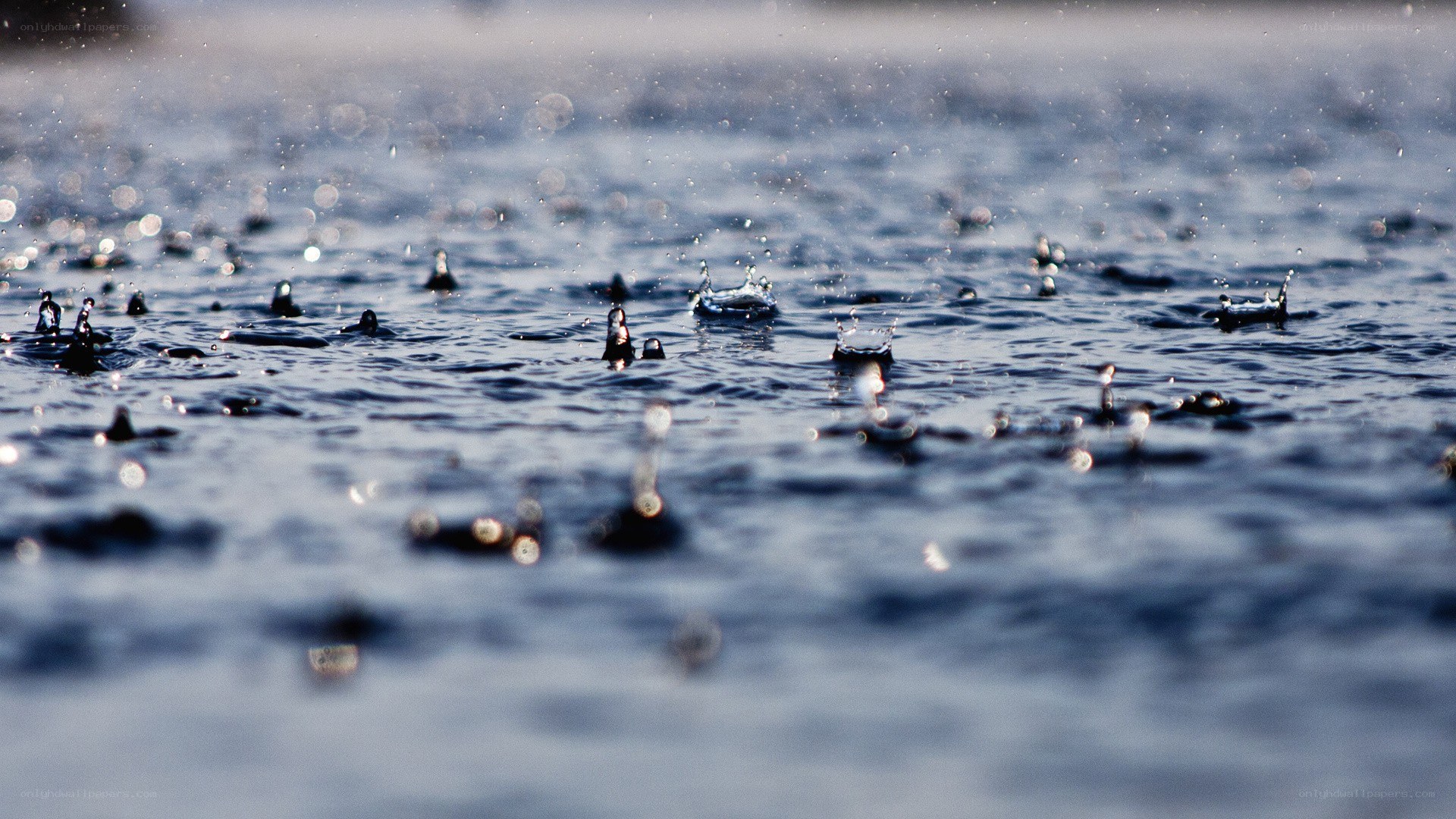 raindrops on water surface