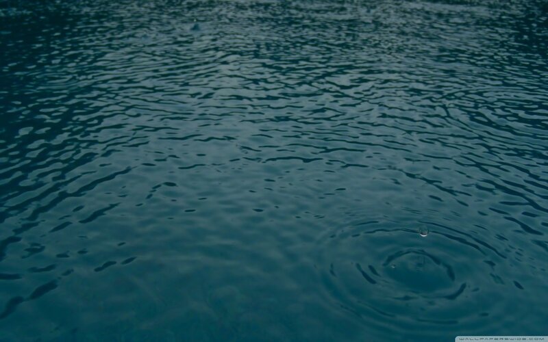 raindrops on water surface