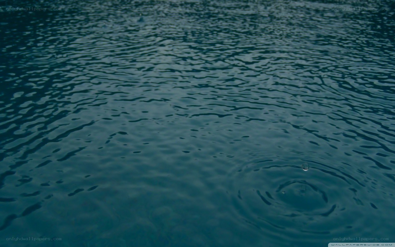 raindrops on water surface