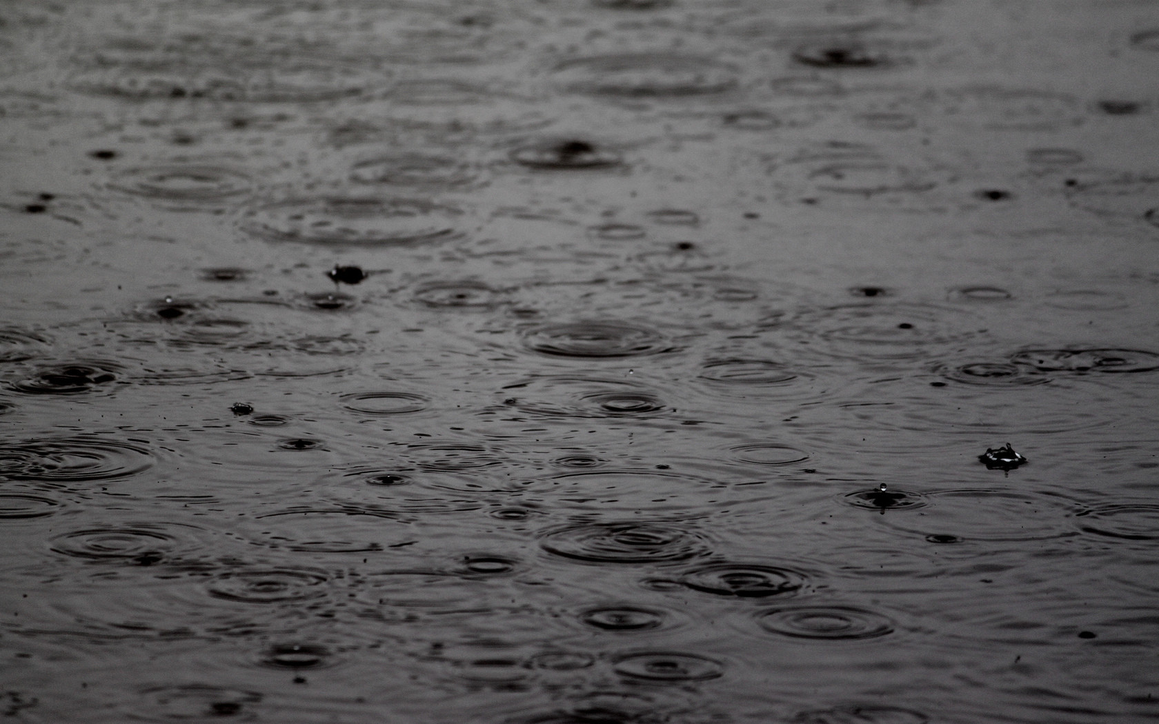 raindrops on water surface