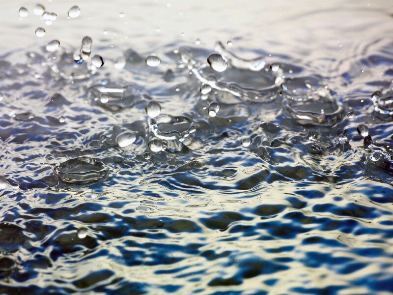 raindrops on water surface