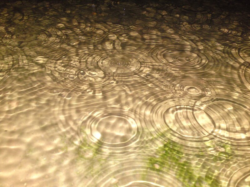 raindrops on water surface