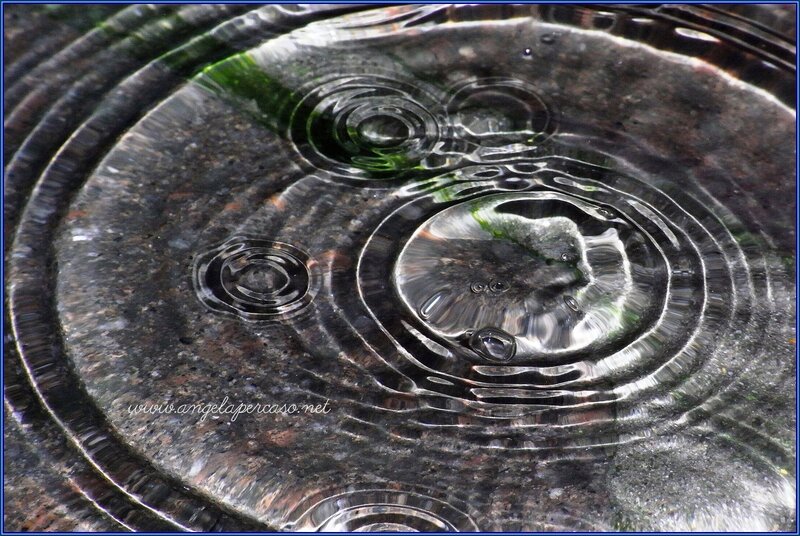 Raindrops on Water Surface — Black, Calm