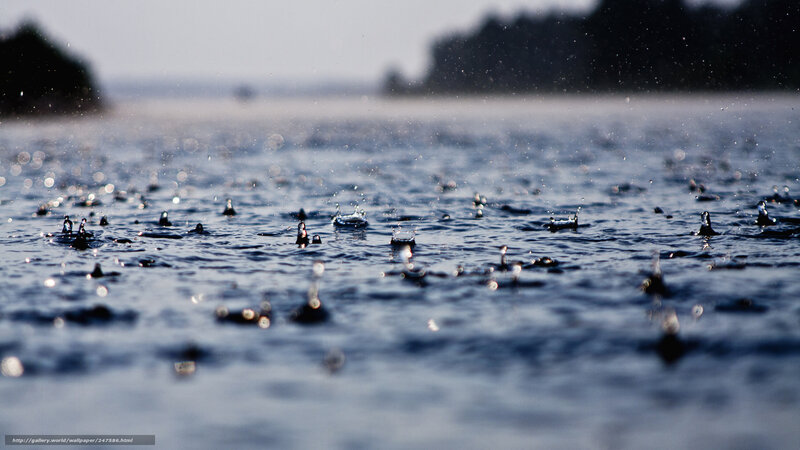 Raindrops on Water Surface — Blue, Calm, Morning, Photograph