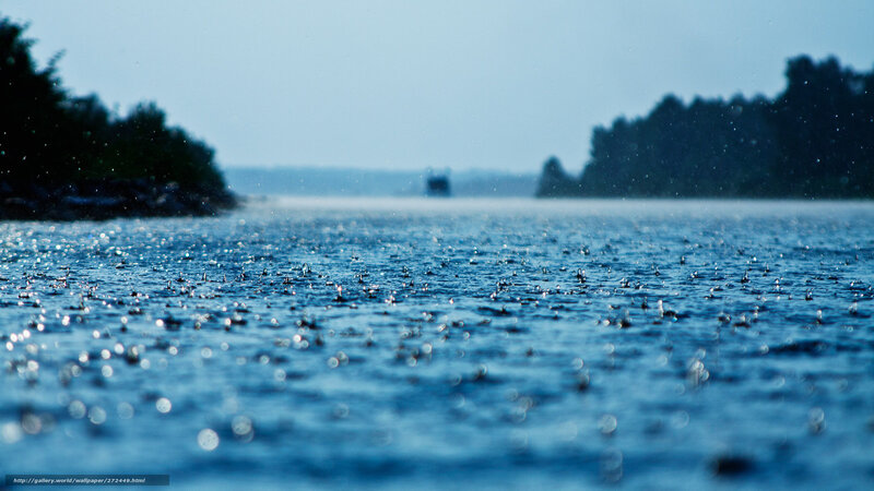 Raindrops on Water Surface — Blue, Calm, Morning, Photograph, Trees