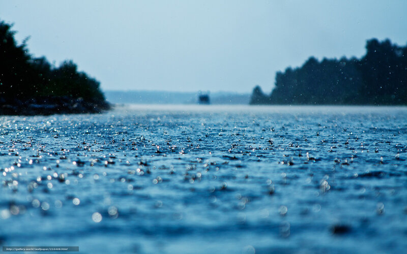 Raindrops on Water Surface — Blue, Calm, Photograph, Trees, Sky